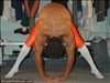 StraightUpGuys2 (45)
